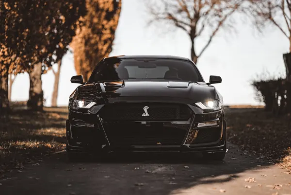 OG Casino Android/iOS rakendus